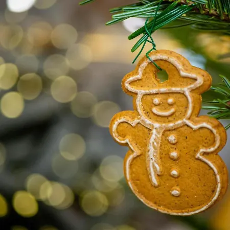 - Taternik * Zakopane