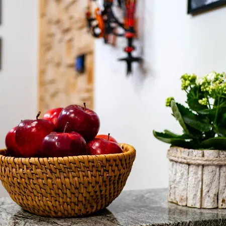 - Taternik * زاكوباني